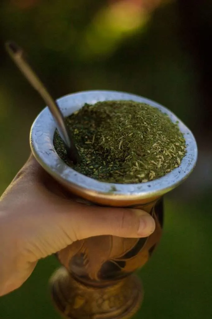 Coffee Break - Yerba Mate from Argentina 
