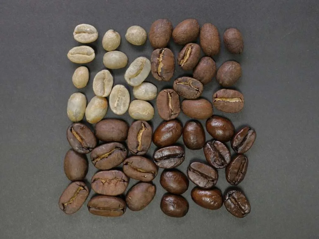 Coffee Flavors - Coffee Bean Roasting